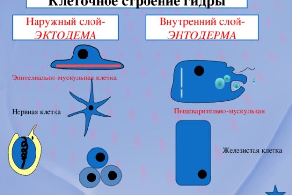 Как вывести деньги с кракена