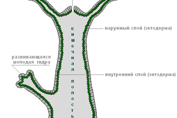 Кракен даркнет 2krnmarket