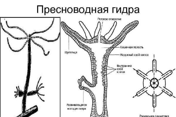 Что такое кракен шоп