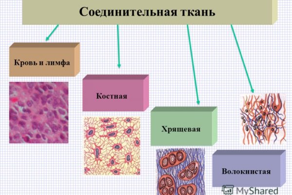 Ссылки мега кракен